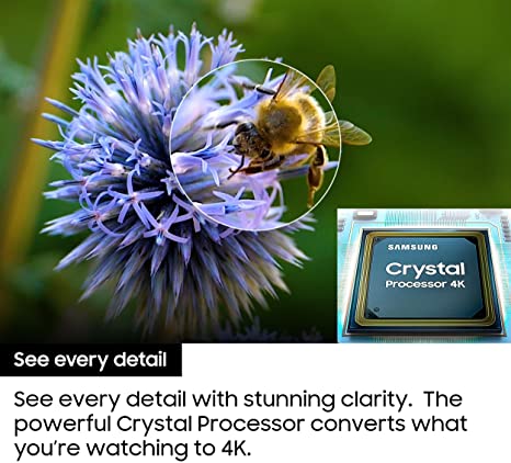 81Gg9-GbRVL._AC_SX466_ (1)