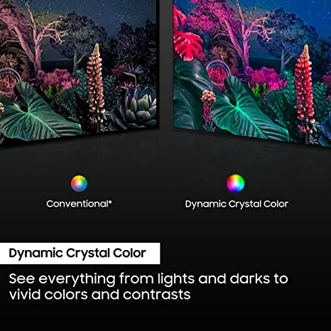 81a7BTs8lBL._AC_SX466_ (1)